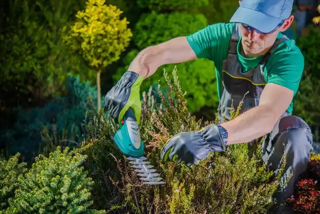 landscaping services Corydon